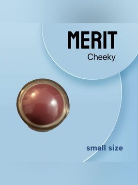 🇺🇸🌟🆕NWOB MERIT | SMALL | Award winner Cheeky Pink Flush Balm Cream Blush